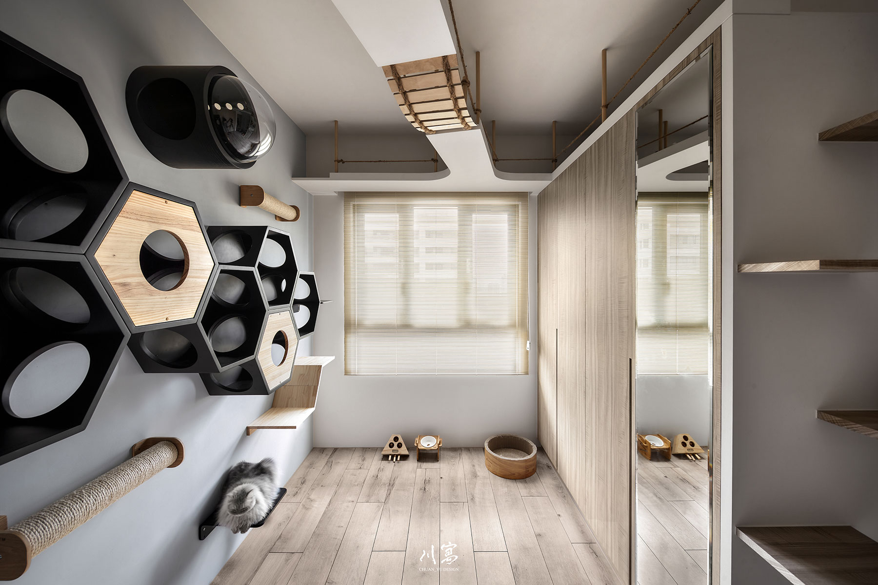 寵物空間設計，黑白灰搭配淺木色，規劃貓咪活動與玩耍的友善空間